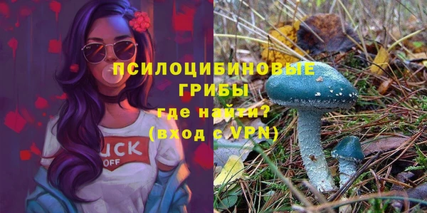 прущая мука Алексин
