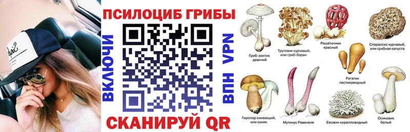 купить наркотики цена  Севастополь  Псилоцибиновые грибы MAGIC MUSHROOMS 