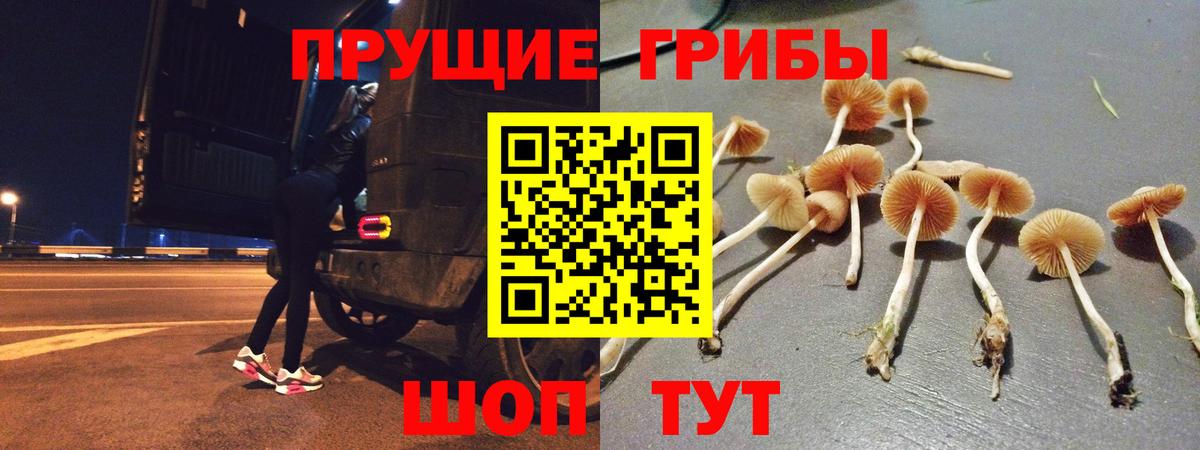 Галлюциногенные грибы Cubensis  Галлюциногенные грибы GOLDEN TEACHER  Севастополь  Вход с VPN 